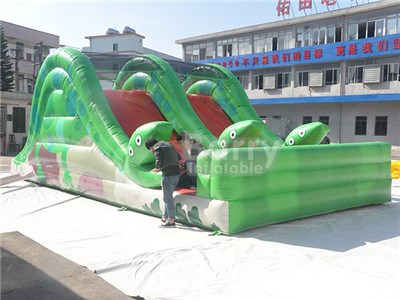 Green Snake Inflatable Rides Slide For Sale  BY-DS-093